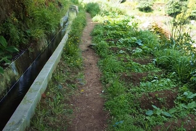 Mimosa Valley Walk - Pickup from Funchal: less time figuring it out