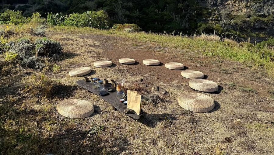 Mindful Tea Ceremony in Hidden Nature of Madeira - Tea you buy after: taking Madeira home in your cupboard