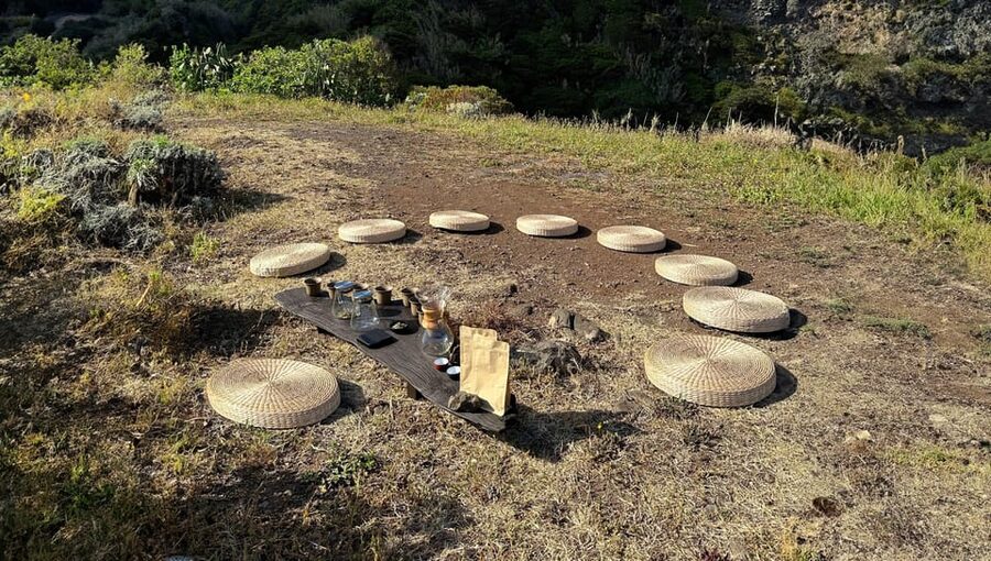 Mindful Tea Ceremony in Hidden Nature of Madeira - Price and value: is $35 per person fair for 1.5 hours?
