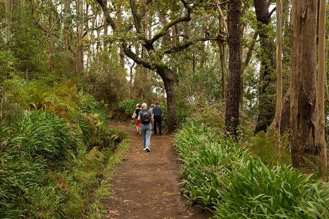 Mini -Combo East Challenge (Jeep & Levada Walk)- Shared Tour - Where you’ll go: the east-side route in plain English