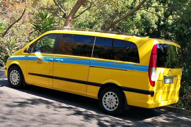 Minibus Transfer: Madeira Airport - Funchal - Madeira Airport to Funchal: Quick, Private, and Mostly Stress-Free