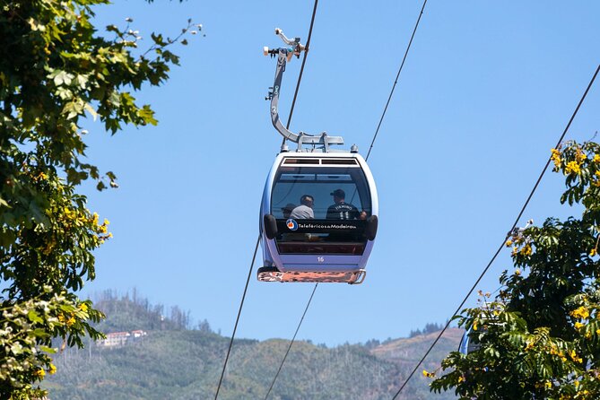 Monte Palace Tropical Garden tour with Cable Car - Guided garden time: why a group makes sense here