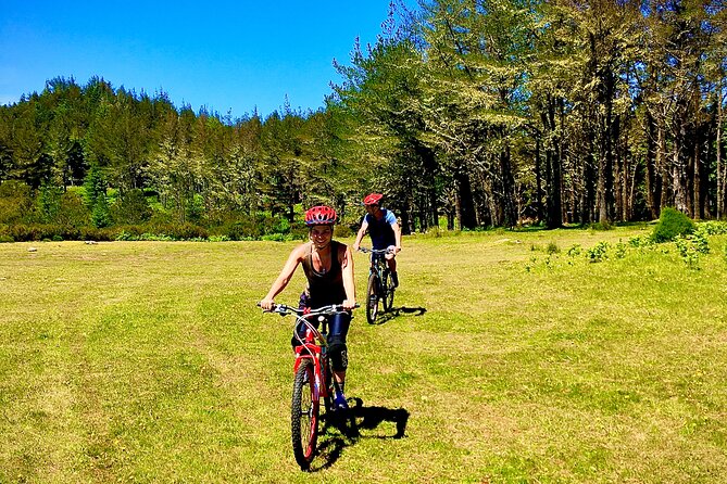 Mountain Biking Tour - Beginner Easy - Smooth Descent, Flat Single Trail, and the Ancient Laurel Forest