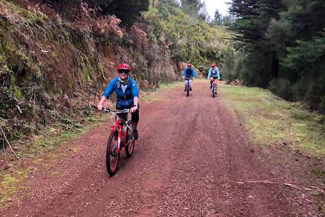 Mountain Biking Tour - Beginner Easy - Levada Trails Toward Camacha: How the Ride Finishes