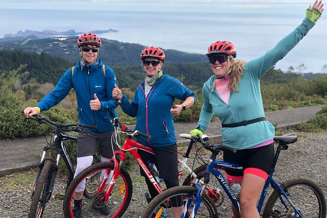 Mountain Biking Tour - Beginner Easy - Meet at Funchal: The 9:15 Start and the Ride Begins