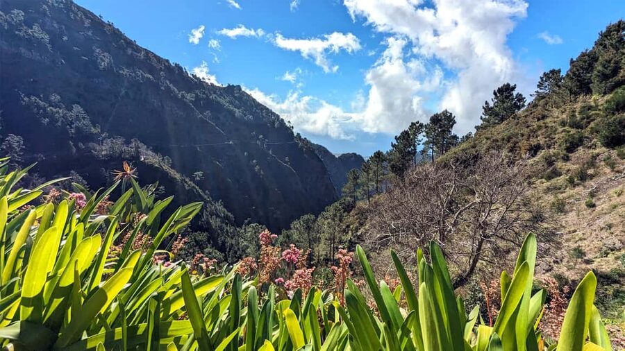 Mountain Wonders: The Nuns Valley Half-day Private Jeep - Who this private Jeep tour suits best