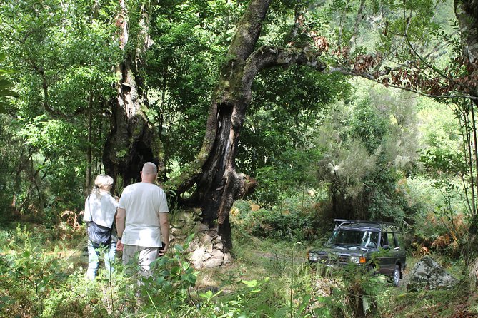 North Tour & Wine Tasting - 4x4 (Small Groups) - Engenhos do Norte: Steam Engine Oldest in Europe + Tastings