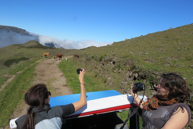 Northeast 4x4 Santana and Landscapes Day Trip - São Jorge: sugarcane fields and where Madeira’s wine starts