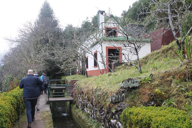 NorthWest Landscapes, UNESCO & volcanic pools 4x4 experience - Levada do Paul da Serra: UNESCO forest plus a short walk