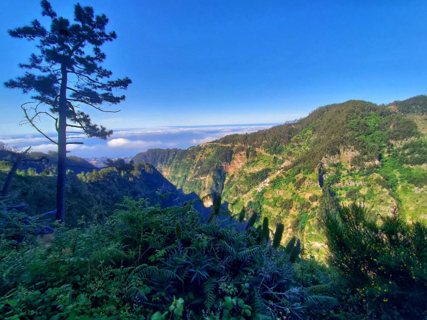 Nun's Valley - Eira do Serrado: Eucalyptus, Chestnut Trees, and Big Elevation