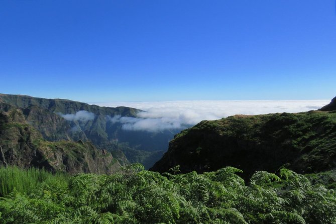 Nun's Valley Open 4X4 Tour - Stop 2: Curral das Freiras—convent history in a working valley