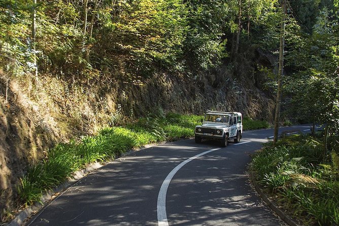 Nun's Valley & Sea Cliff - Half Day - Shared Tour - Câmara de Lobos: a compact stop that still feels local