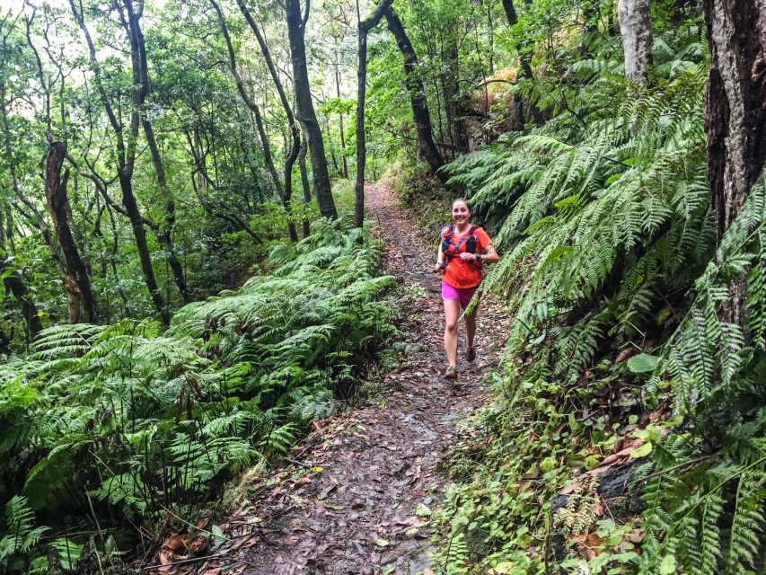 Ocean to Mountain Running Tour - Price and value: what $82 buys you in Madeira