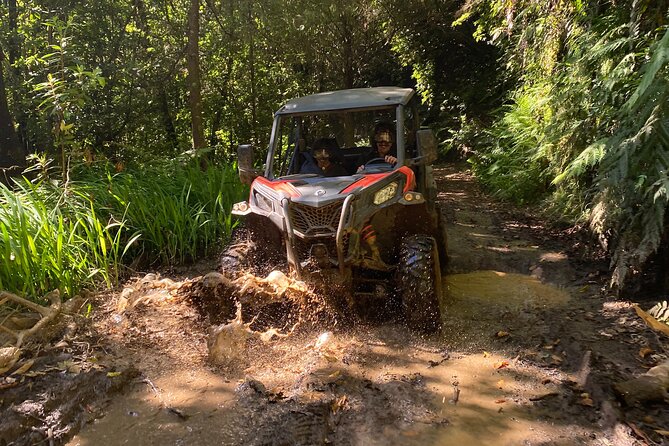 Off-Road Buggy Driving Experience - Off-road buggies in Madeira’s Laurisilva: what the ride really feels like