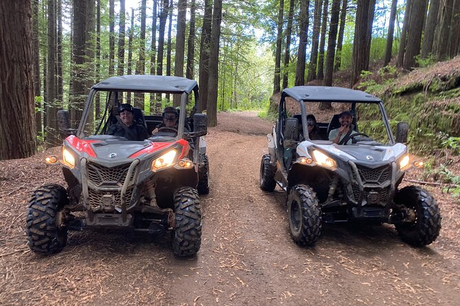 Off-Road Buggy Driving Experience - The Can-Am buggy experience: 2 seats, 4x4 grip, and hands-on driving
