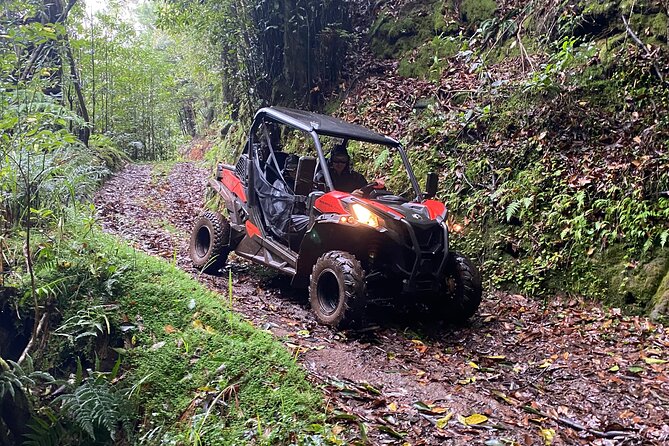Off-Road Buggy Driving Experience - Who this off-road buggy tour is perfect for (and who should think twice)
