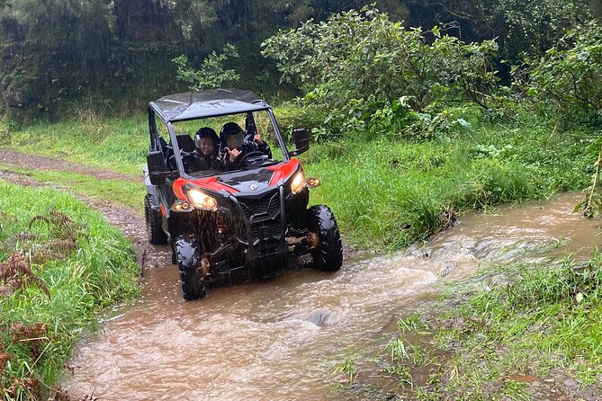 Off-Road Buggy Driving Experience - Should you book this Laurisilva buggy adventure?