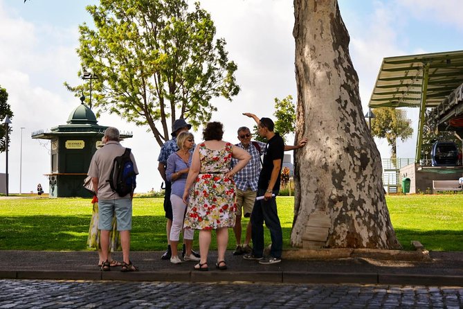 Old Funchal Walking Tour - Price and Time: Does $19.83 Really Pay Off?