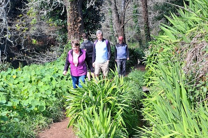 On the Rhythm of a Levada Walk: Madeira cider tasting and lunch - Timing, Pickup From Funchal, and How the Small Group Feel Helps
