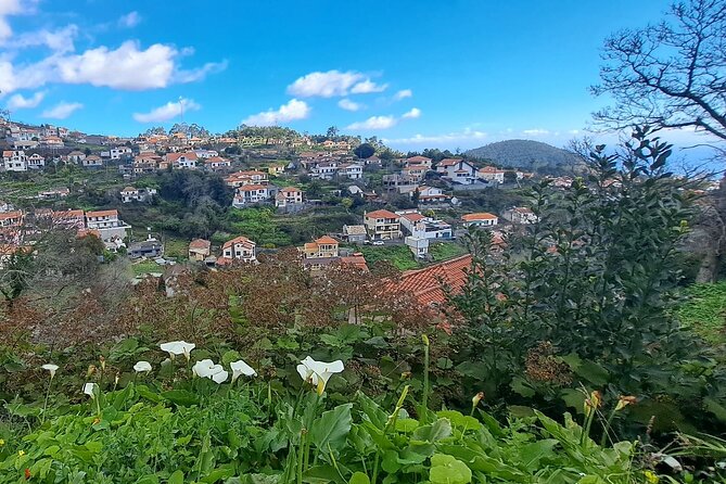 On the Rhythm of a Levada Walk: Madeira cider tasting and lunch - What You Should Wear and Bring for This 4-Hour Schedule
