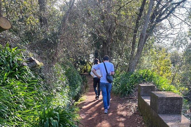 On the Rhythm of a Levada Walk: Madeira cider tasting and lunch - Price and Value: What $162.14 Really Buys