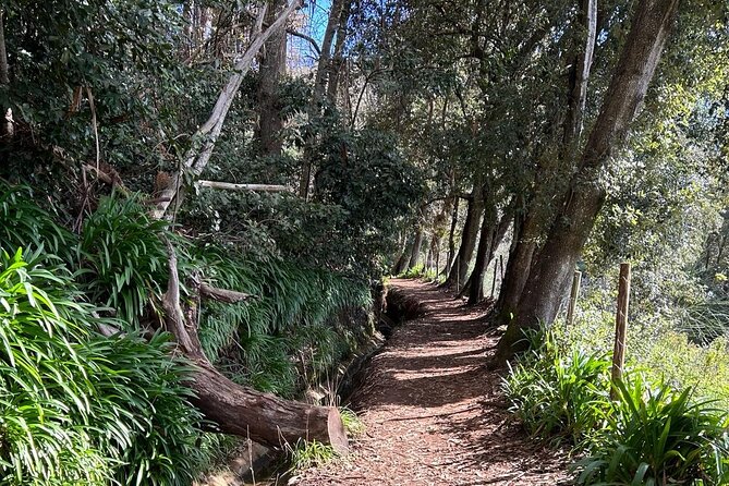 On the Rhythm of a Levada Walk: Madeira cider tasting and lunch - Weather Matters on Madeira: Plan for a Calm Rebook