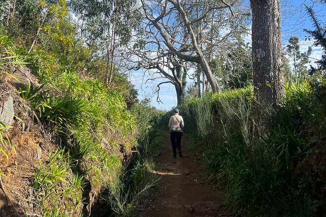On the Rhythm of a Levada Walk: Madeira cider tasting and lunch - Should You Book This Madeira Cider and Levada Walk?
