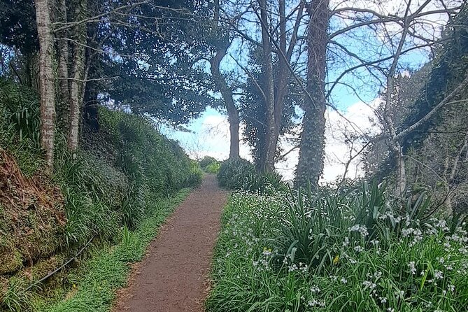 On the Rhythm of a Levada Walk: Madeira cider tasting and lunch - FAQ