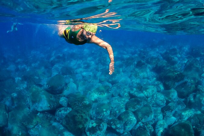 Open-Water Swimming in Madeira - Price and value: is $72.29 worth it?