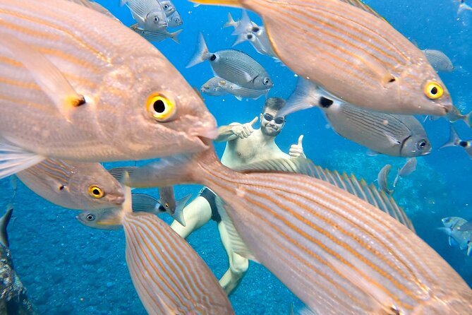 Open-Water Swimming in Madeira - Who this swim suits best (and who should think twice)