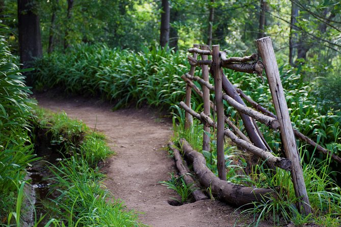 Paradise Valley Beauty Walk - Quick hits: what makes this walk worth your morning