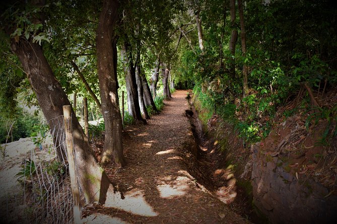 Paradise Valley Beauty Walk - Vale do Paraíso to Rochão: the route that links gardens, farms, and views