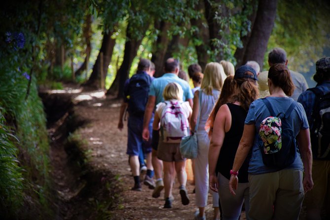 Paradise Valley Beauty Walk - Pace and comfort: for casual walkers, not hardcore hikers