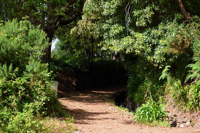 Paradise Valley Beauty Walk - Price and value: is $34.70 worth a half-day walk?