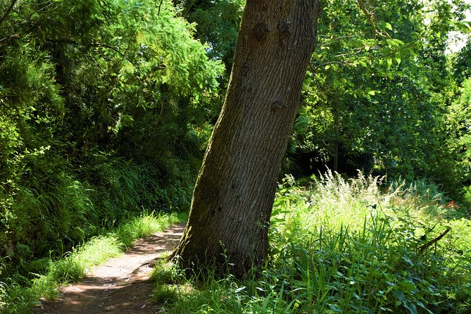 Paradise Valley Beauty Walk - Weather matters on a Levada walk