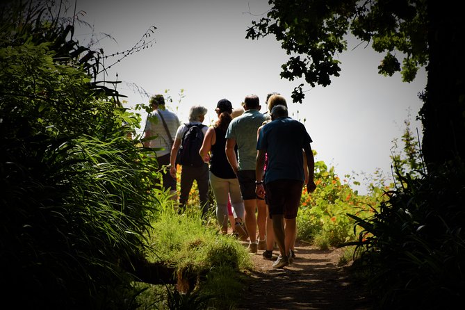 Paradise Valley Beauty Walk - The Levada of Serra do Faial: what you’re actually walking on