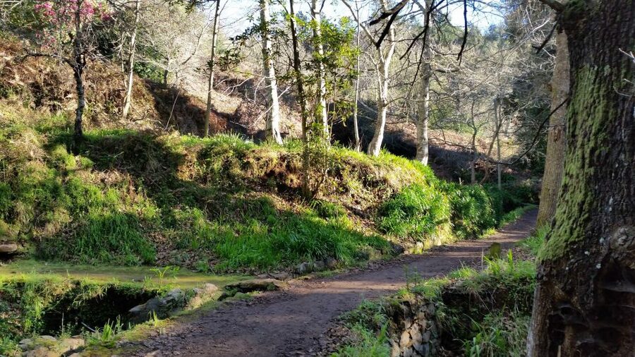 Paradise Valley half-day morning walk. - Key Takeaways Before You Lace Up