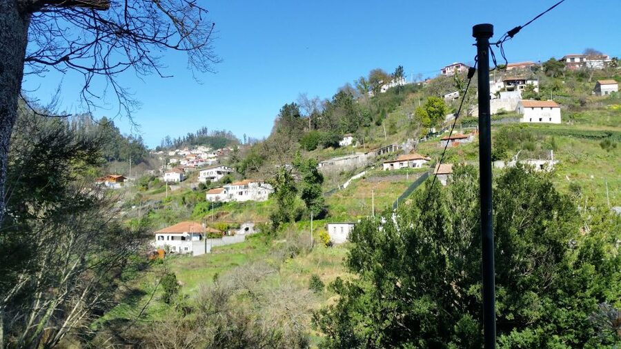 Paradise Valley half-day morning walk. - Paradise Valley in Madeira: Why This Half-Day Works So Well