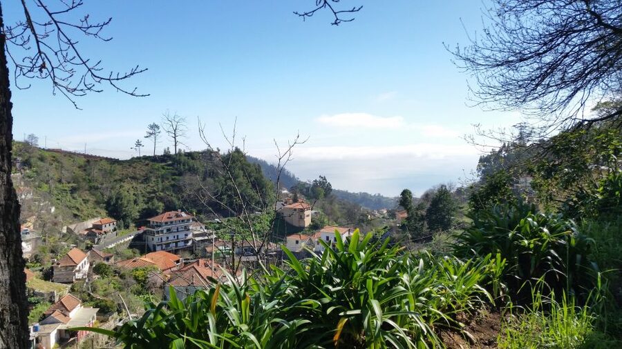 Paradise Valley half-day morning walk. - Walking Side by Side With a Levada: The Lesson You’ll Actually Remember