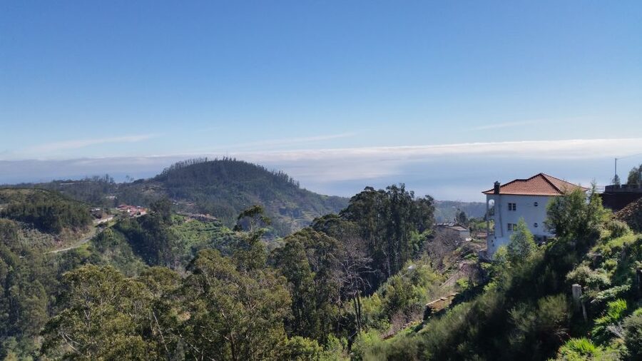 Paradise Valley half-day morning walk. - Camacha Village Views: Why This Isn’t Just Nature Photography