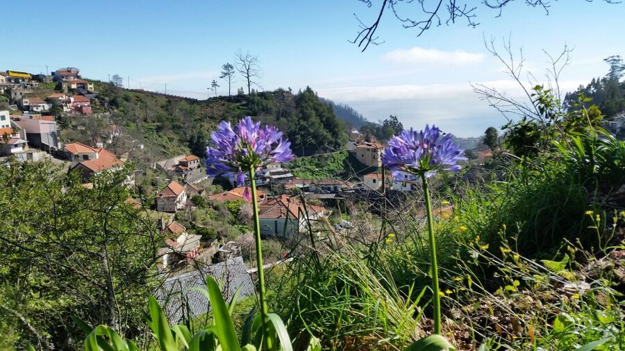 Paradise Valley half-day morning walk. - The Morning Start: Pickup Zones and How to Avoid the Usual Stress