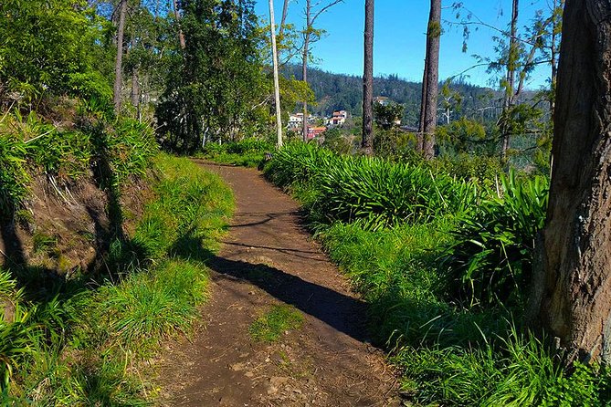 Paradise Valley - Levada Walk - Pickup in Funchal, Then Up to Choupana: Timing and Pace