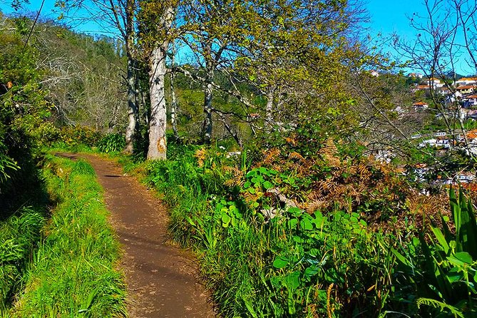 Paradise Valley - Levada Walk - FAQ