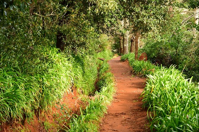 Paradise Valley Madeira Island Walk - Key highlights