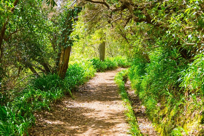 Paradise Valley Madeira Island Walk - A Gentle Madeira Levada Walk from Serra do Faial to Rochão