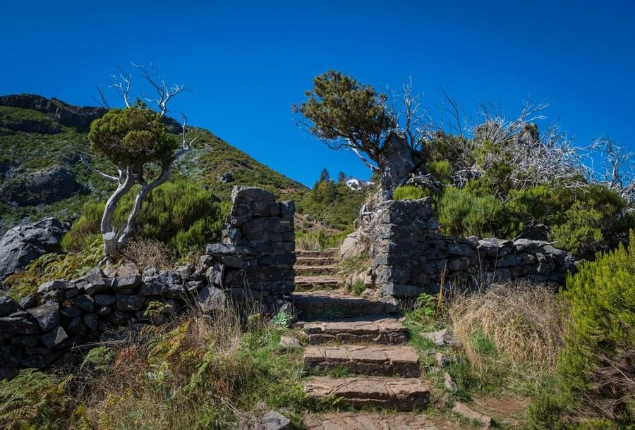 Pico Areeiro to Pico Ruivo Madeira Island Walk - Starting high at Pico do Areeiro: what the guided 4.75 hours feels like