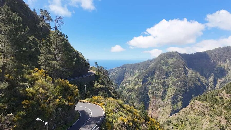 Pico Arieiro, Santana, São Lourenço & more – Full Day+PickUp - Ribeiro Frio and the Laurisilva levada walk