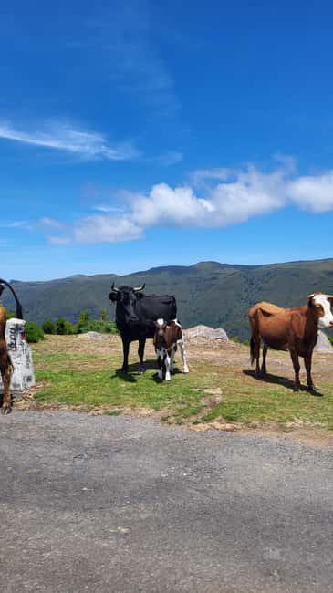 Pico Arieiro, Santana, São Lourenço & more – Full Day+PickUp - Comfort tips: what to bring (and what to avoid)