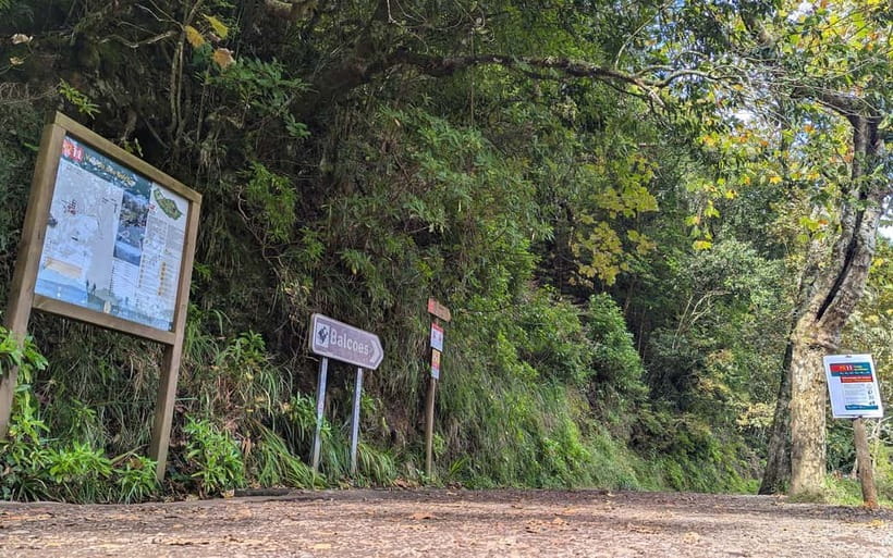 Pico do Arieiro in 4h: Immersive Private Tour - The Funchal Ecological Park stop: small museum, real nature context