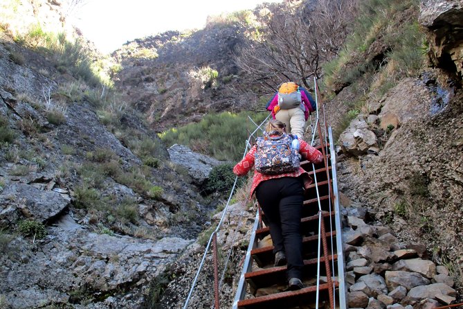 Pico do Arieiro - Pico Ruivo - Achada do Teixeira Walk - Price and Value: Is $53.23 Worth It?